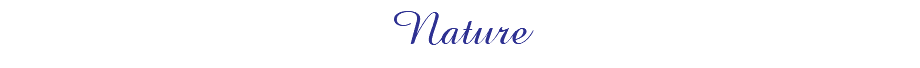Nature